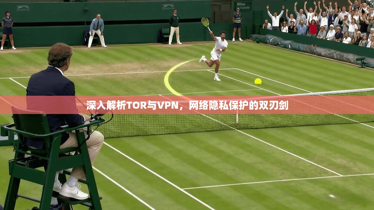 深入解析TOR与VPN，网络隐私保护的双刃剑