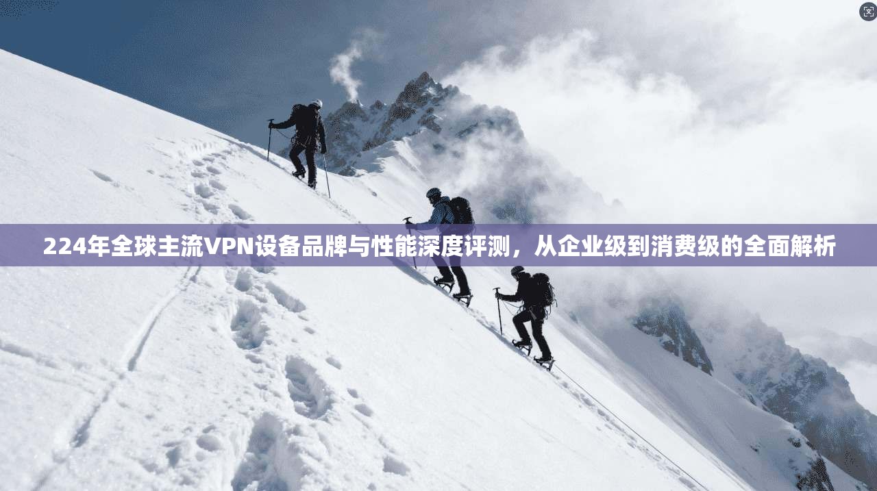 224年全球主流VPN设备品牌与性能深度评测,从企业级到消费级的全面解析