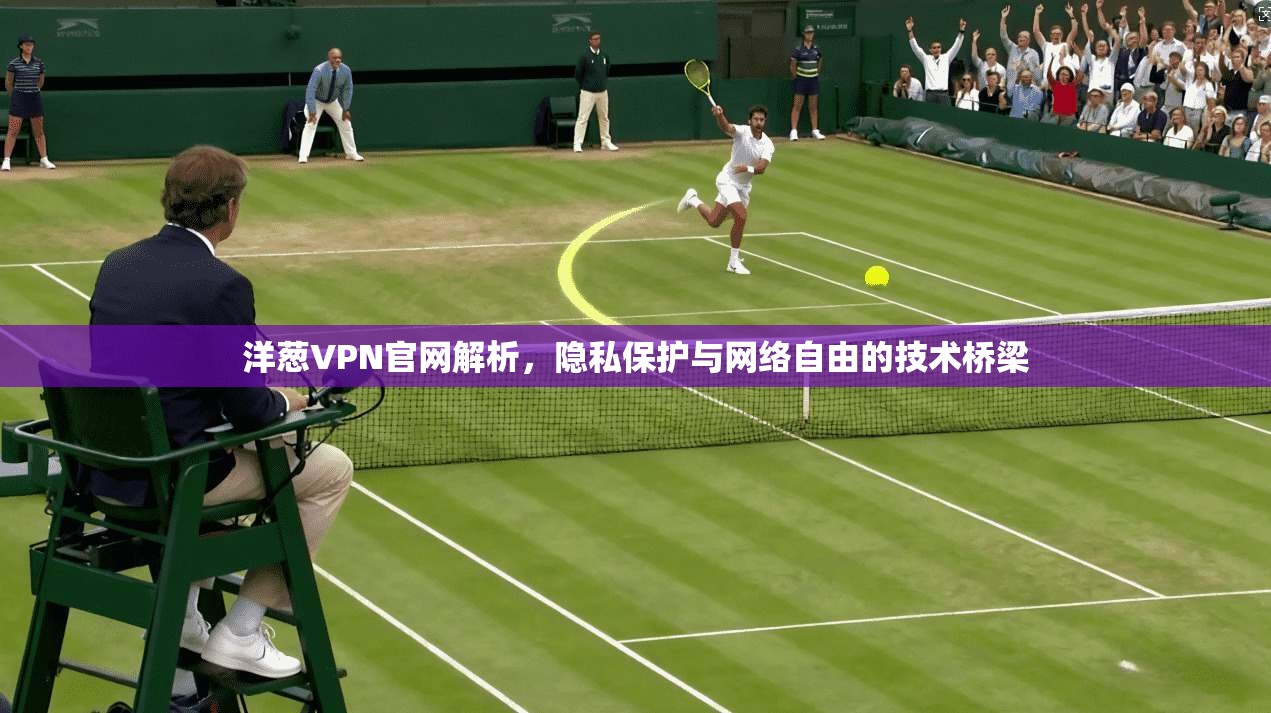 洋葱VPN官网解析，隐私保护与网络自由的技术桥梁