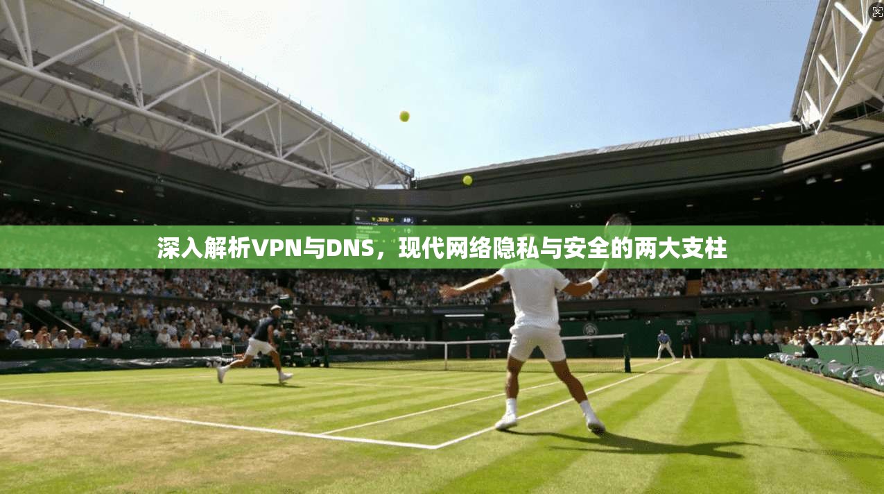 深入解析VPN与DNS，现代网络隐私与安全的两大支柱