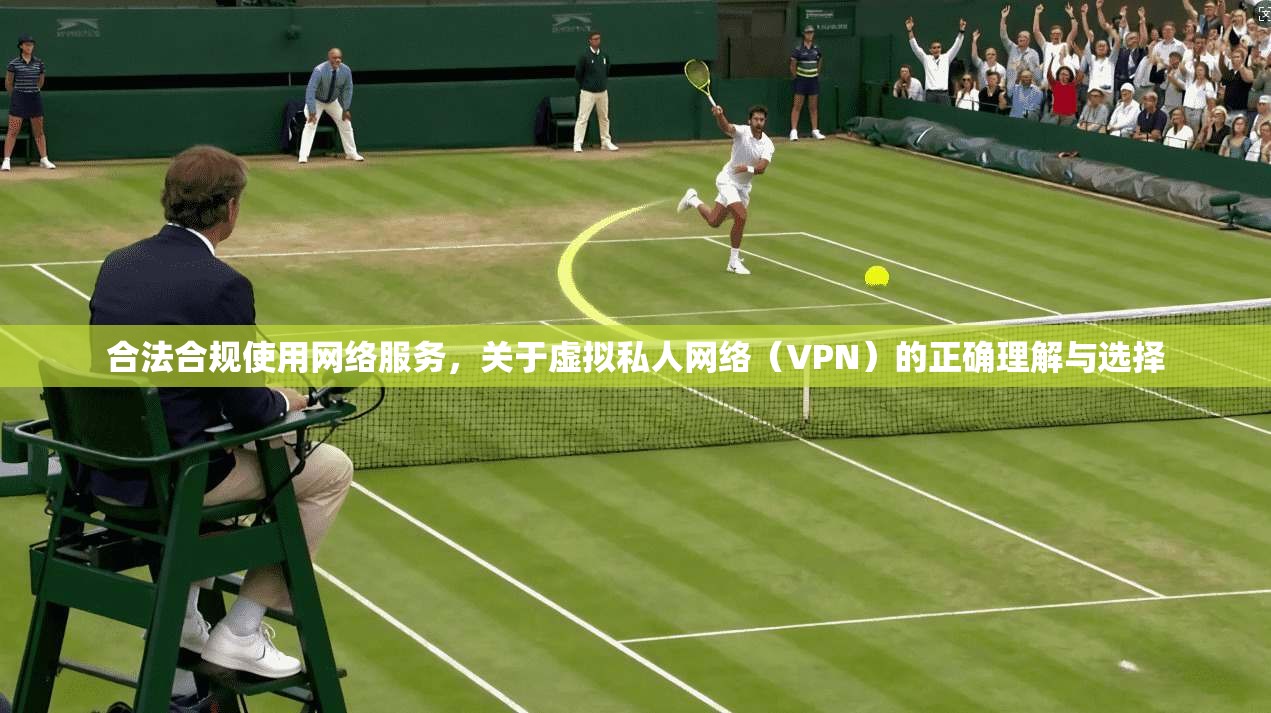 合法合规使用网络服务,关于虚拟私人网络(VPN)的正确理解与选择