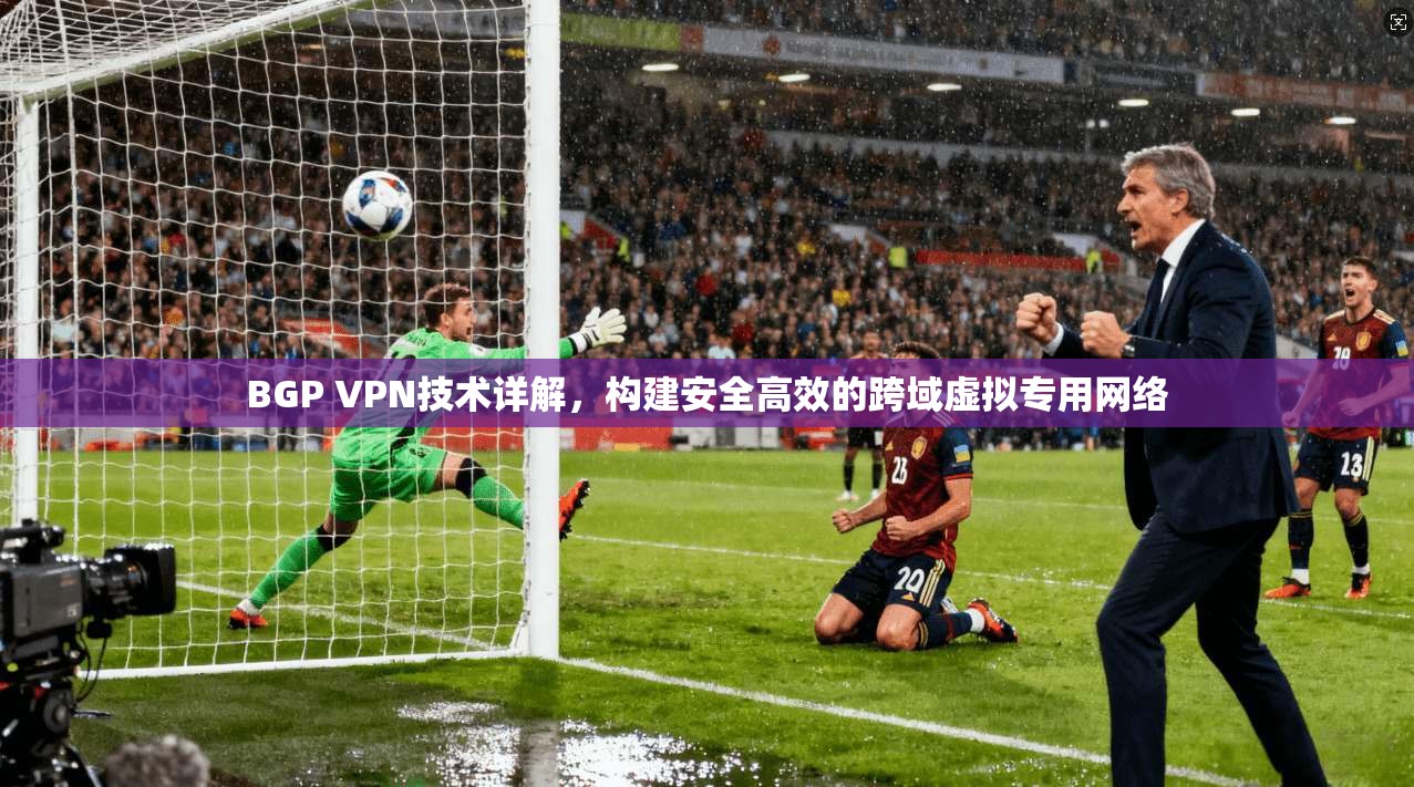 BGP VPN技术详解,构建安全高效的跨域虚拟专用网络