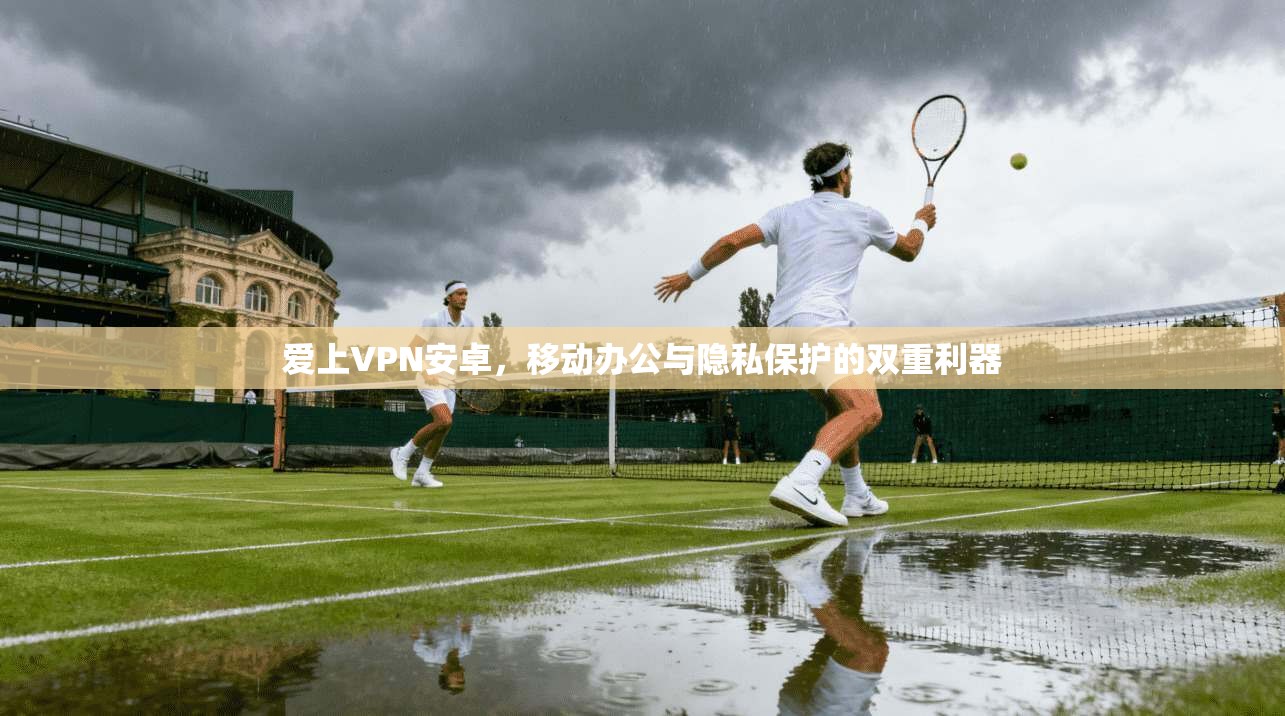 爱上VPN安卓，移动办公与隐私保护的双重利器