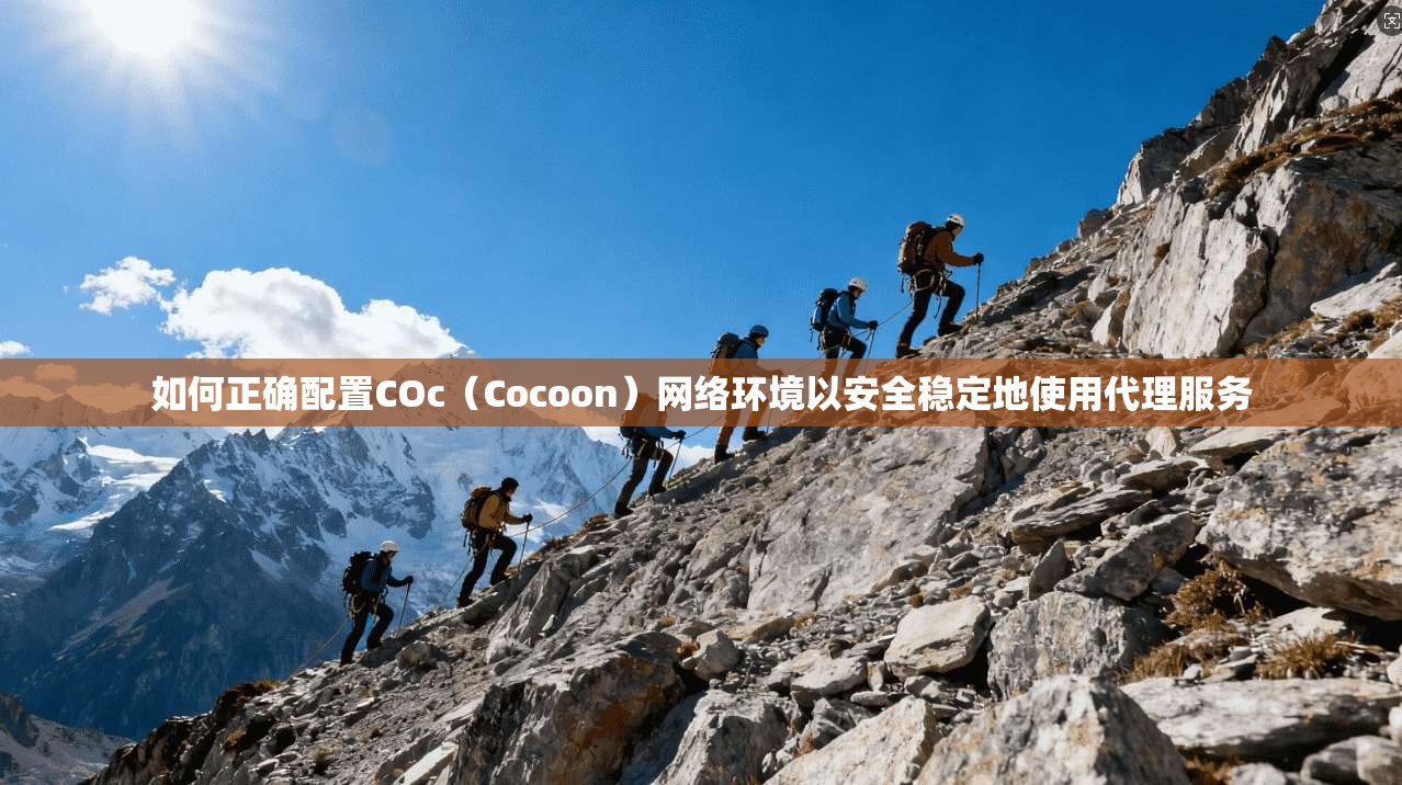 如何正确配置COc（Cocoon）网络环境以安全稳定地使用代理服务  第1张