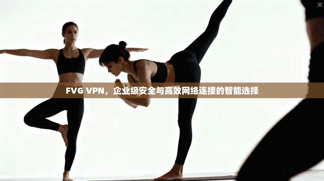 FVG VPN,企业级安全与高效网络连接的智能选择