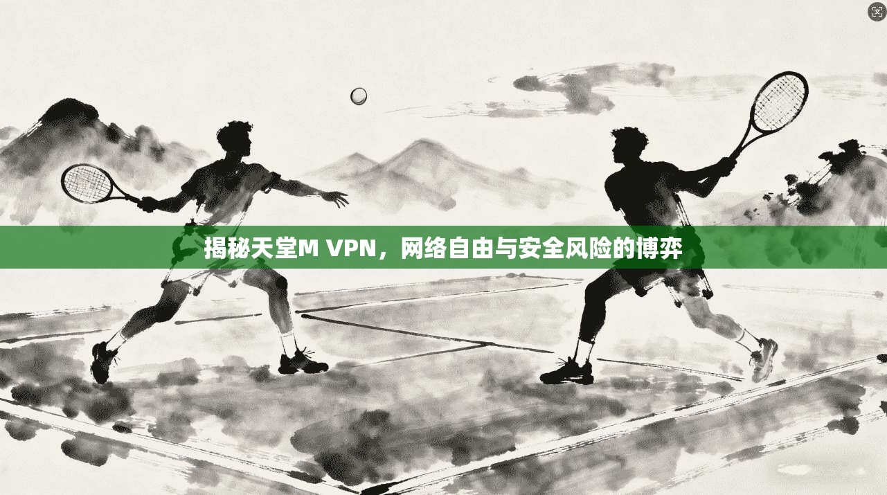 揭秘天堂M VPN，网络自由与安全风险的博弈