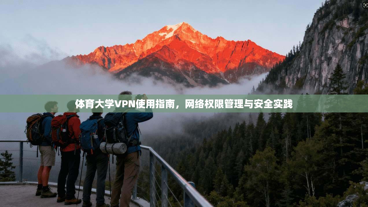 体育大学VPN使用指南，网络权限管理与安全实践