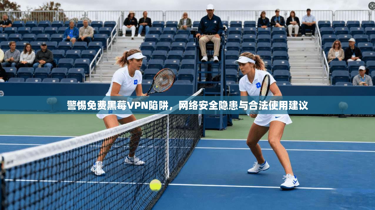 警惕免费黑莓VPN陷阱,网络安全隐患与合法使用建议