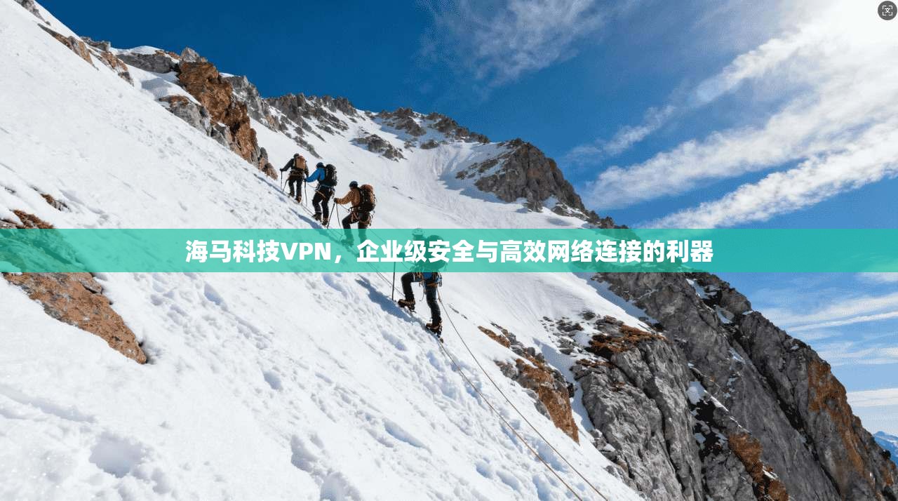 海马科技VPN,企业级安全与高效网络连接的利器