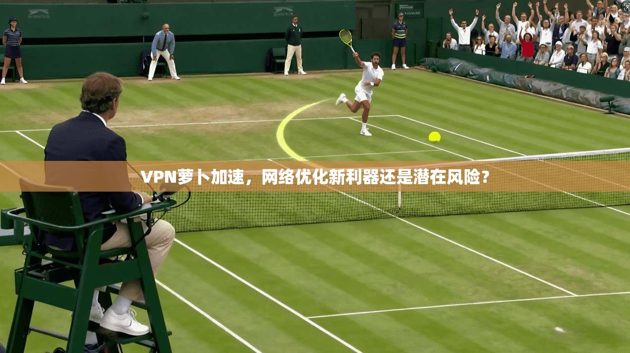 VPN萝卜加速,网络优化新利器还是潜在风险?