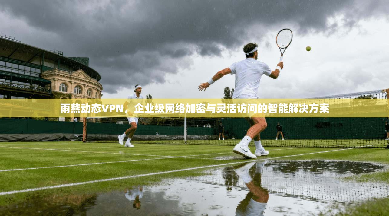 雨燕动态VPN，企业级网络加密与灵活访问的智能解决方案