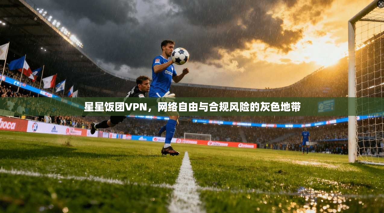 星星饭团VPN，网络自由与合规风险的灰色地带