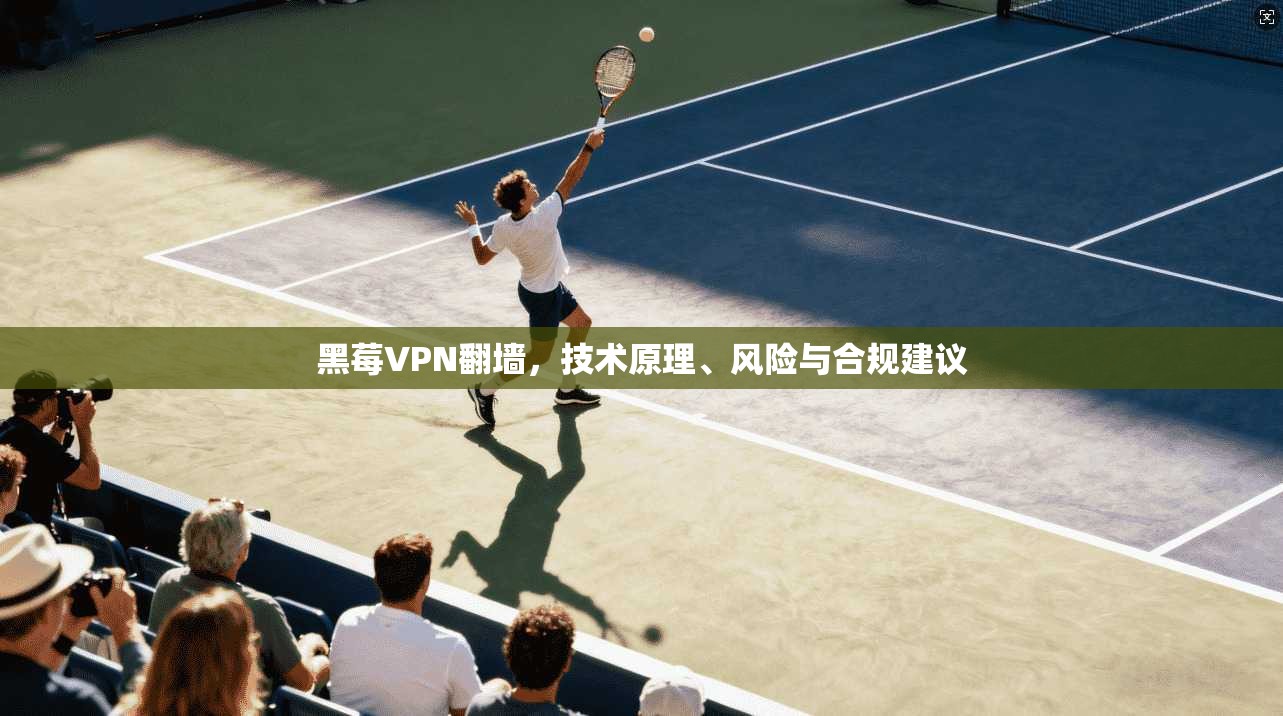 黑莓VPN翻墙,技术原理、风险与合规建议