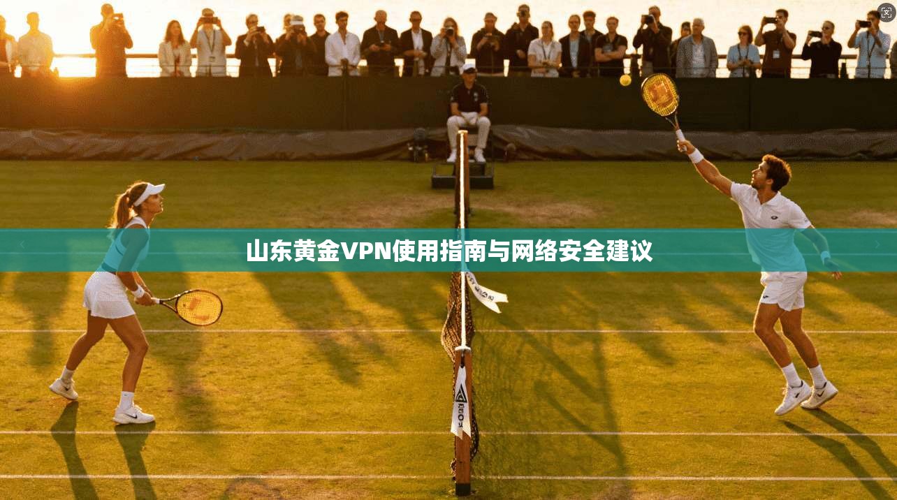 山东黄金VPN使用指南与网络安全建议