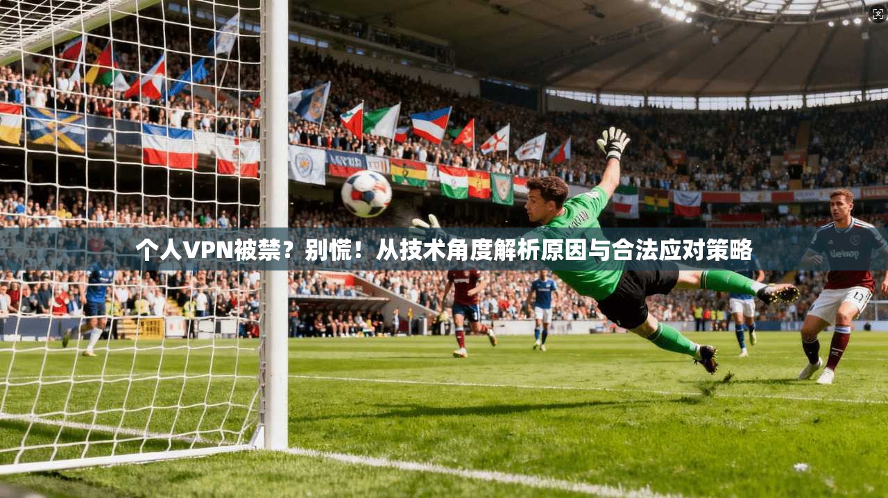 个人VPN被禁？别慌！从技术角度解析原因与合法应对策略