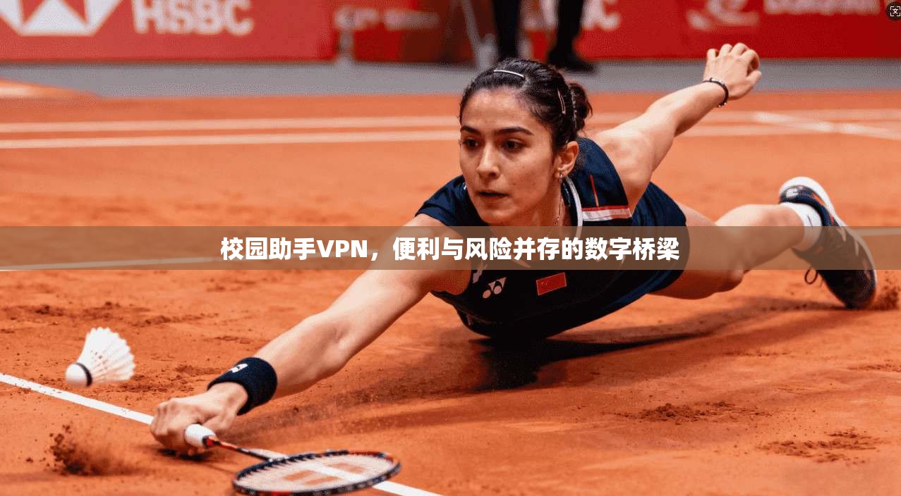 校园助手VPN,便利与风险并存的数字桥梁