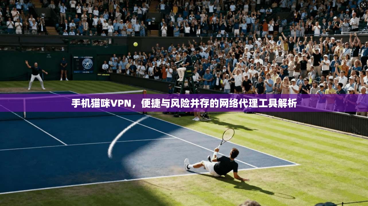 手机猫咪VPN,便捷与风险并存的网络代理工具解析