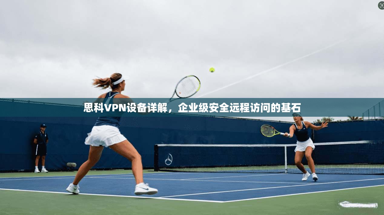 思科VPN设备详解,企业级安全远程访问的基石