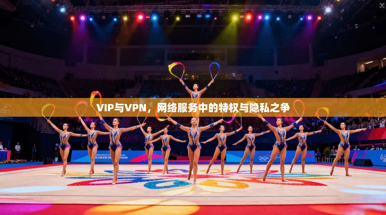 VIP与VPN，网络服务中的特权与隐私之争