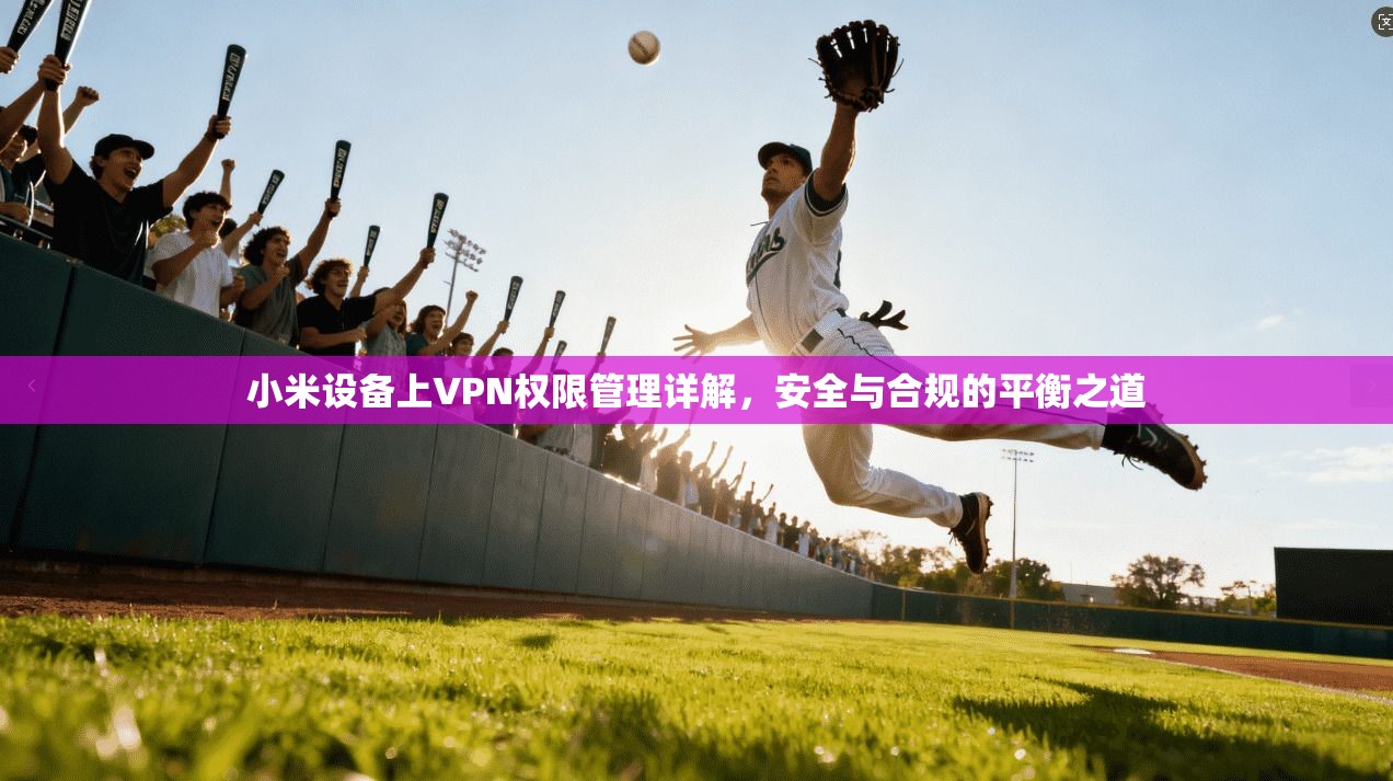 小米设备上VPN权限管理详解，安全与合规的平衡之道