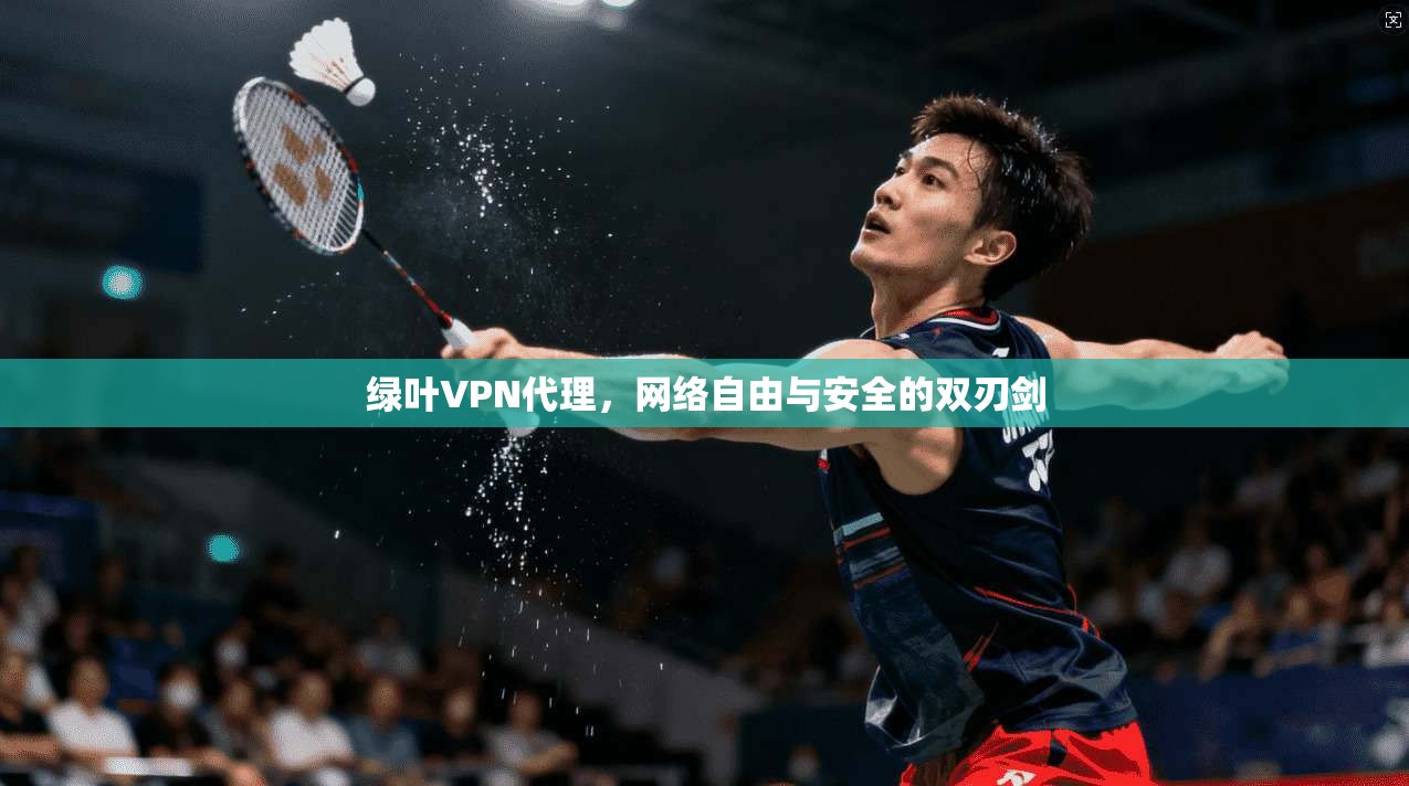 绿叶VPN代理，网络自由与安全的双刃剑