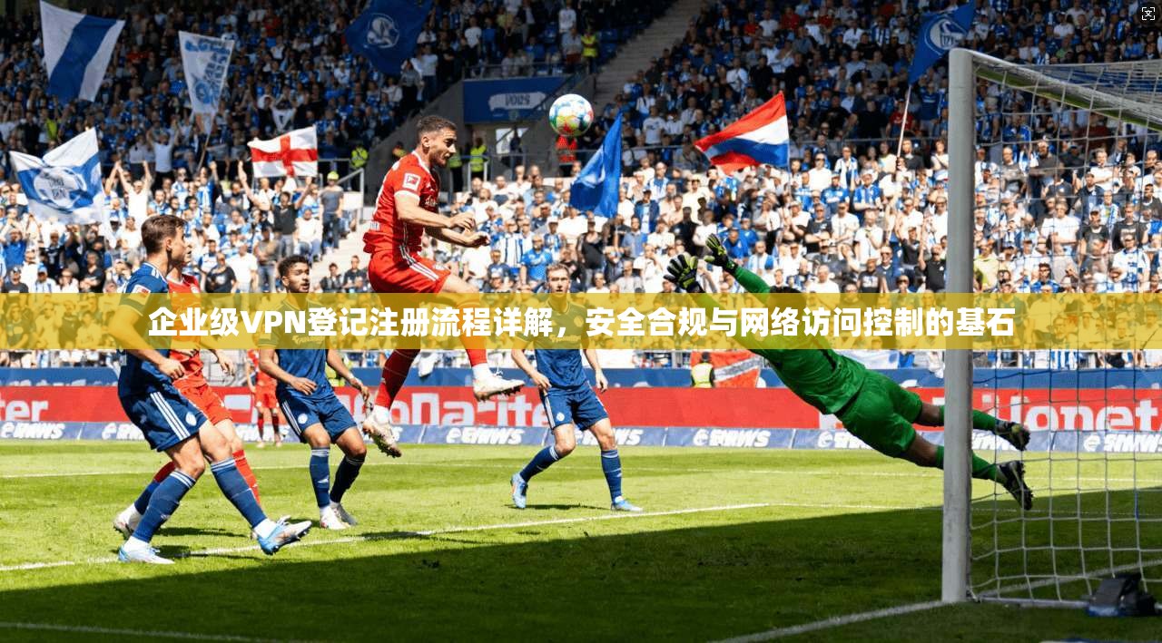 企业级VPN登记注册流程详解，安全合规与网络访问控制的基石