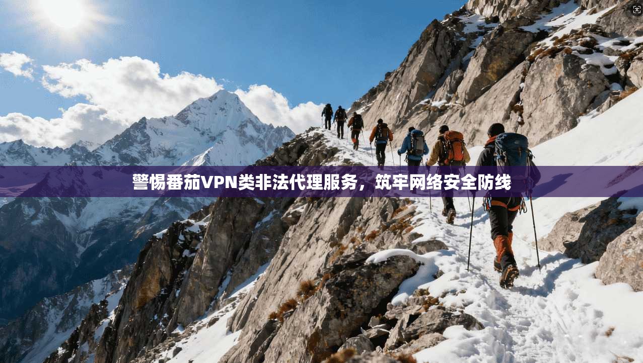 警惕番茄VPN类非法代理服务，筑牢网络安全防线