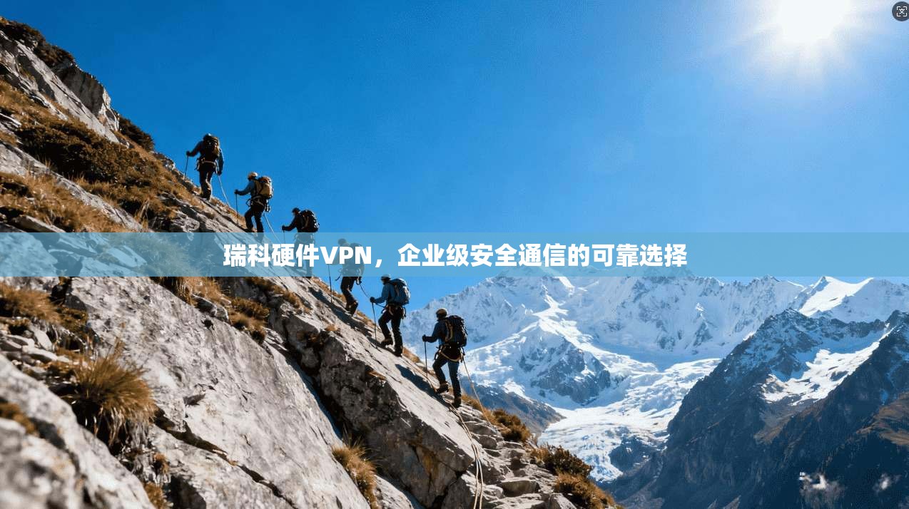 瑞科硬件VPN，企业级安全通信的可靠选择