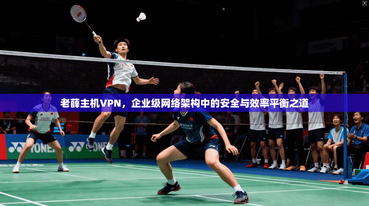 老薛主机VPN，企业级网络架构中的安全与效率平衡之道