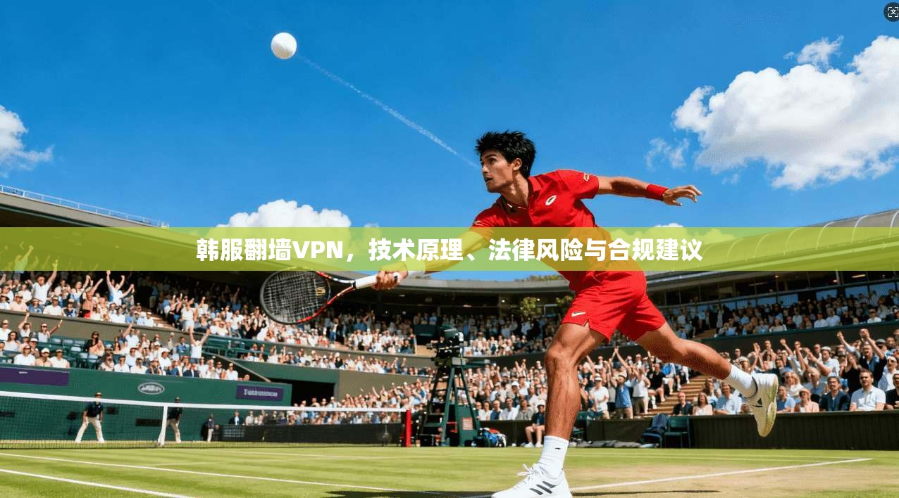 韩服翻墙VPN，技术原理、法律风险与合规建议
