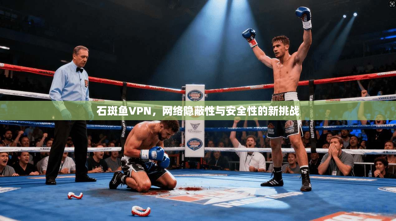 石斑鱼VPN，网络隐蔽性与安全性的新挑战