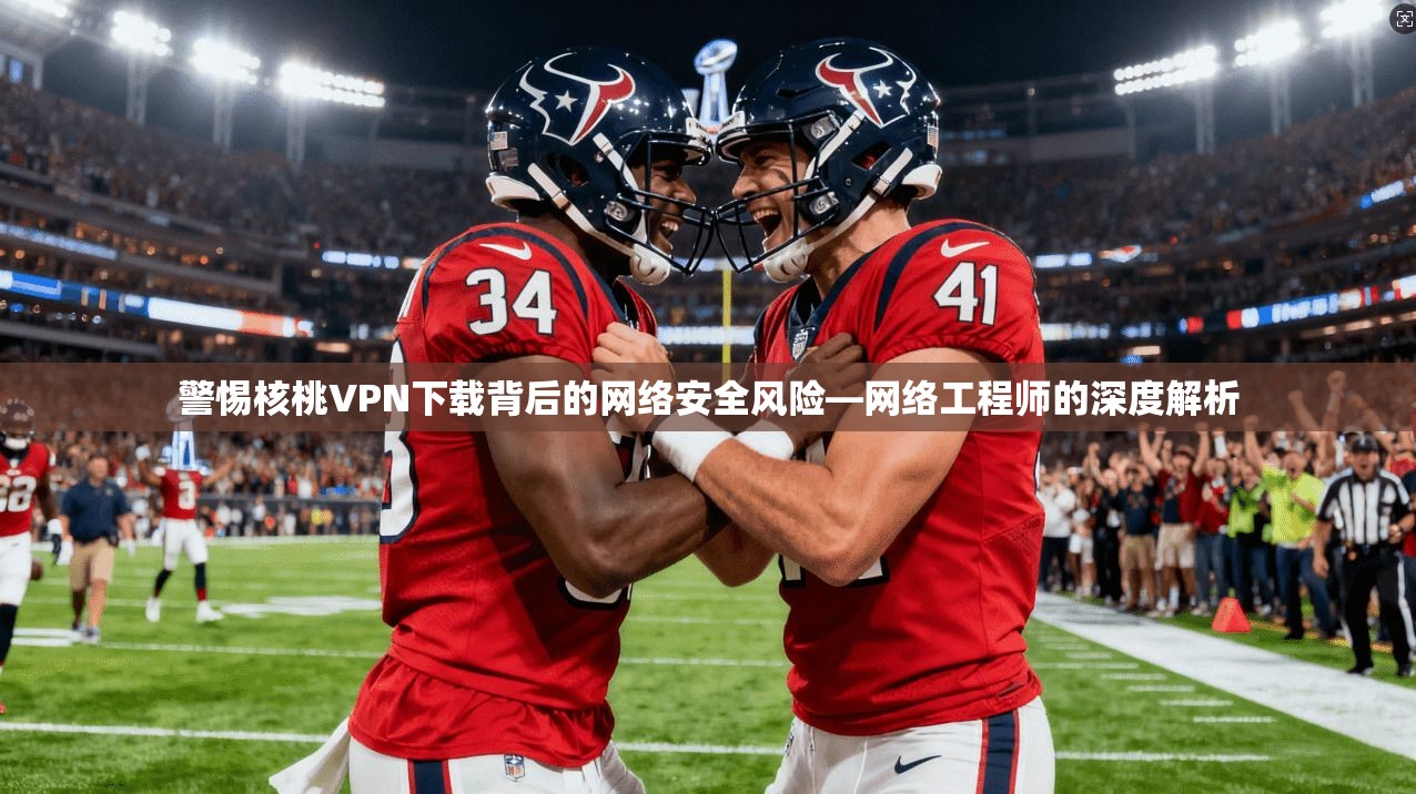 警惕核桃VPN下载背后的网络安全风险—网络工程师的深度解析