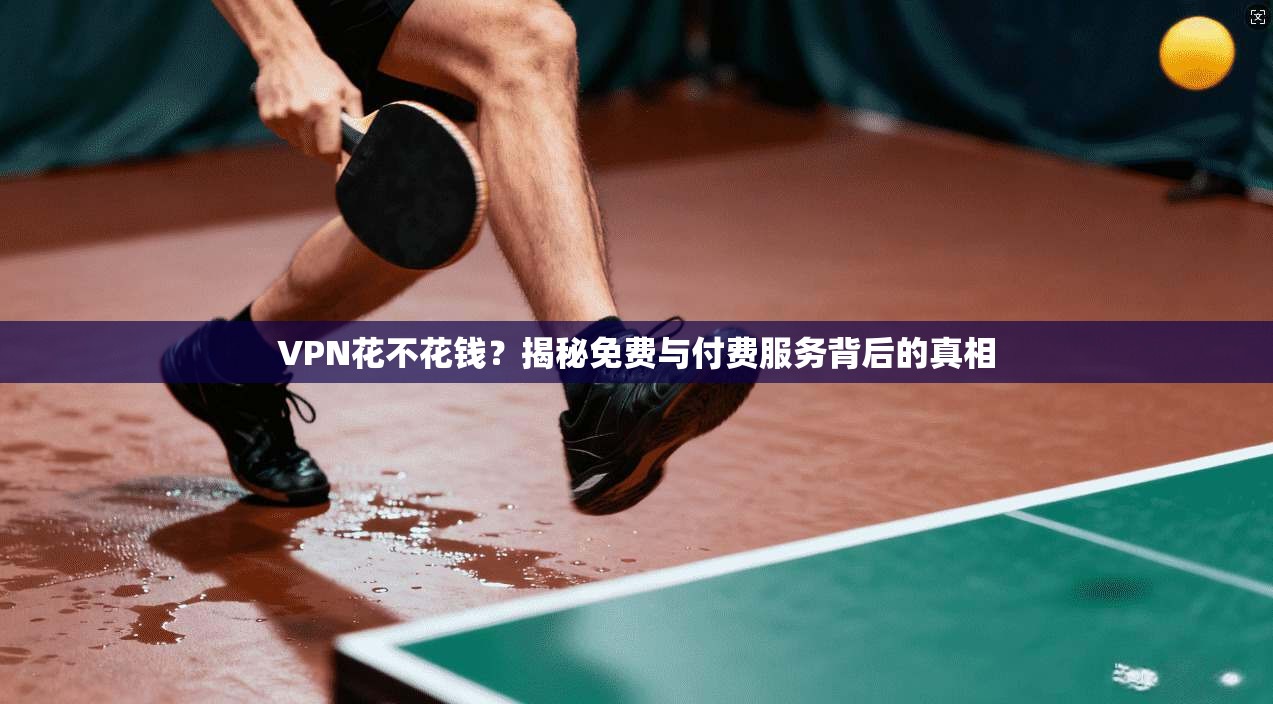 VPN花不花钱？揭秘免费与付费服务背后的真相