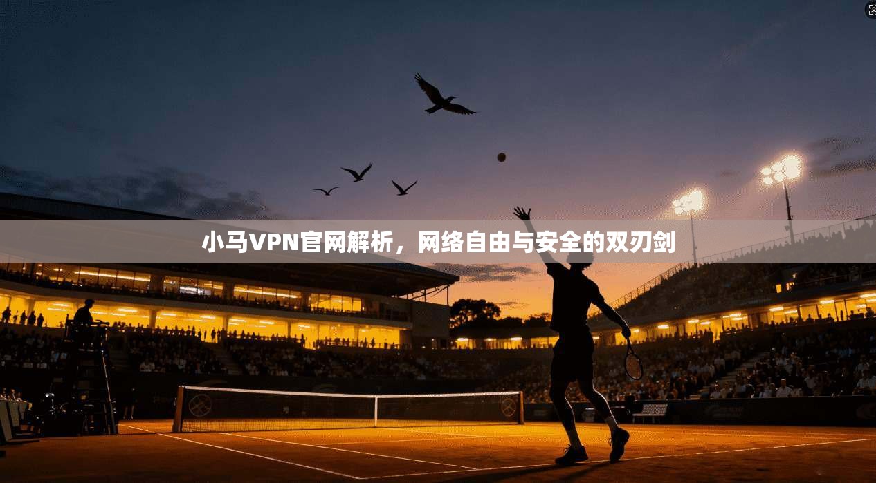 小马VPN官网解析，网络自由与安全的双刃剑