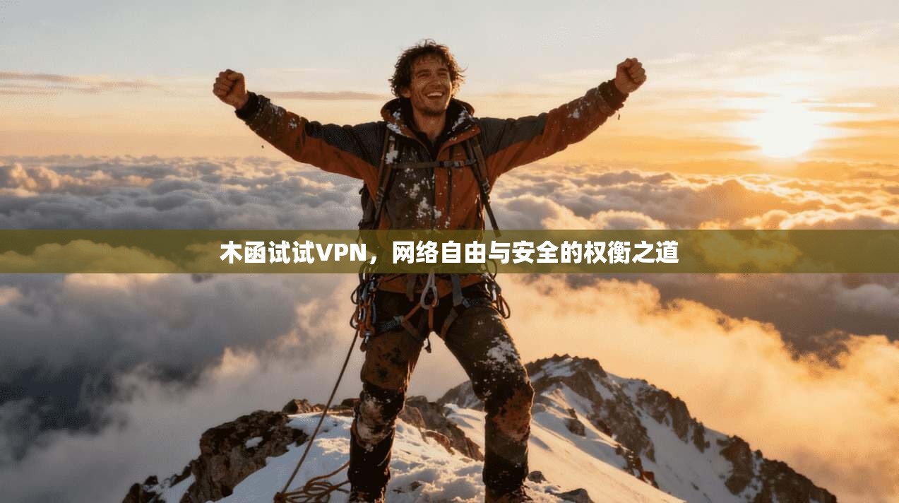 木函试试VPN，网络自由与安全的权衡之道