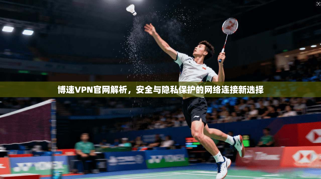 博速VPN官网解析，安全与隐私保护的网络连接新选择