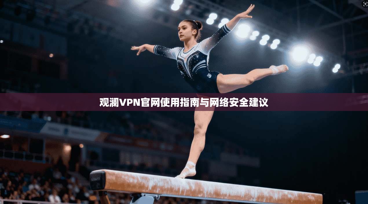 观澜VPN官网使用指南与网络安全建议
