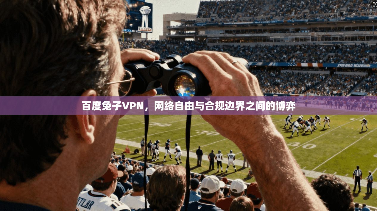 百度兔子VPN，网络自由与合规边界之间的博弈