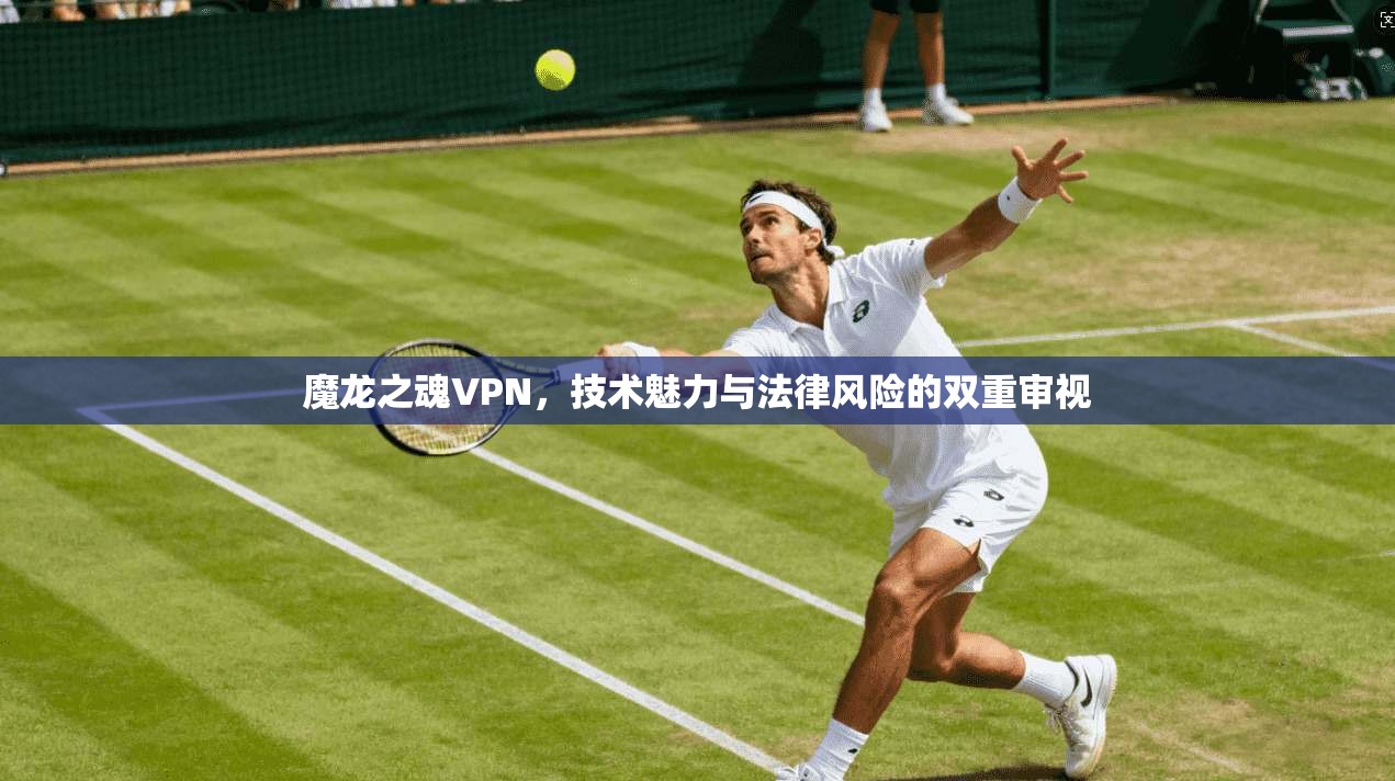 魔龙之魂VPN，技术魅力与法律风险的双重审视