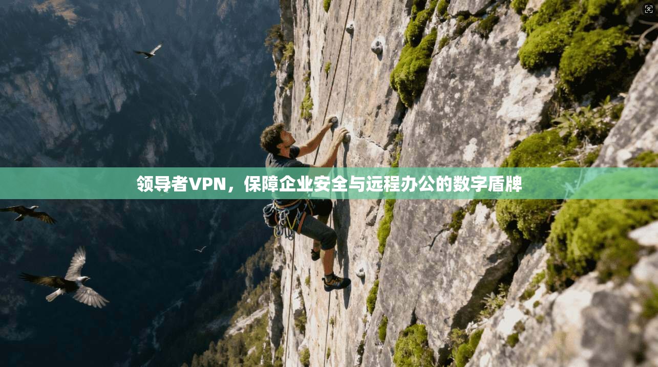 领导者VPN,保障企业安全与远程办公的数字盾牌