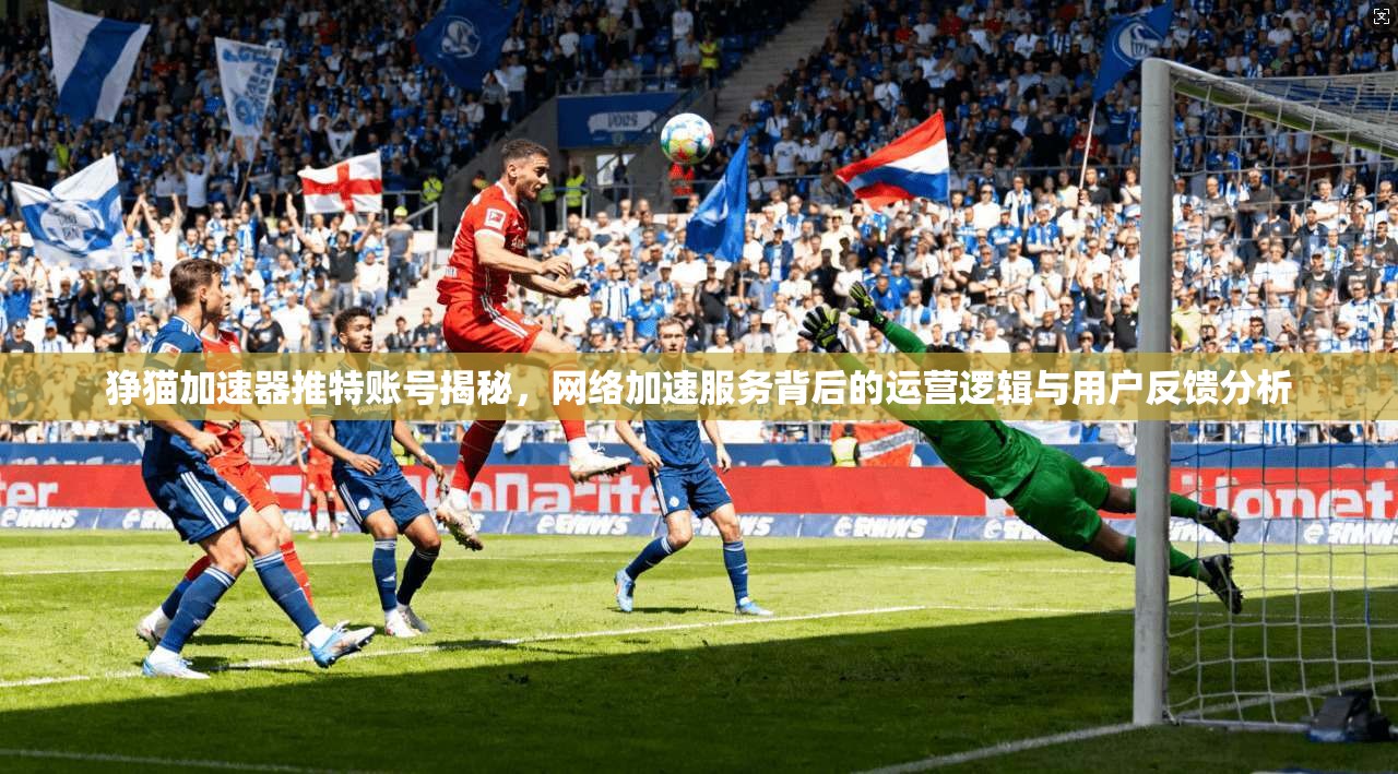 狰猫加速器推特账号揭秘，网络加速服务背后的运营逻辑与用户反馈分析