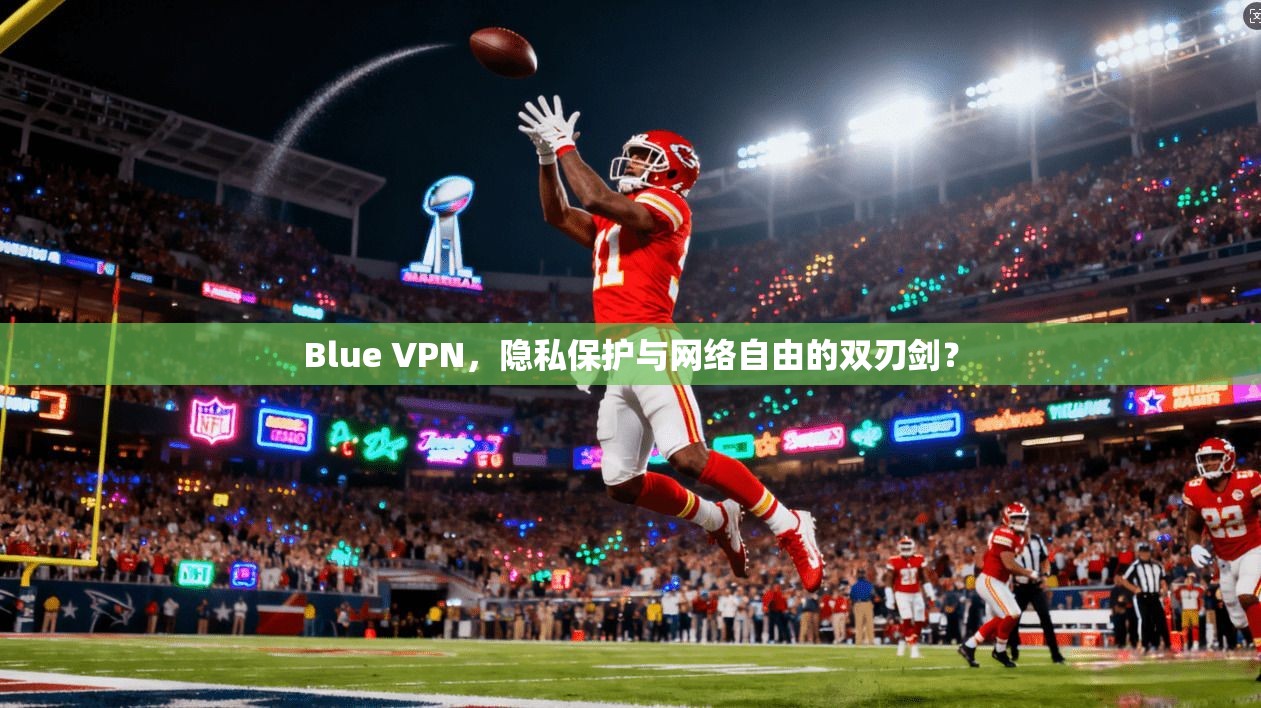 Blue VPN,隐私保护与网络自由的双刃剑?