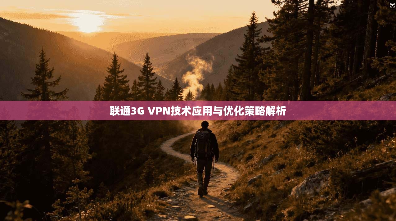 联通3G VPN技术应用与优化策略解析