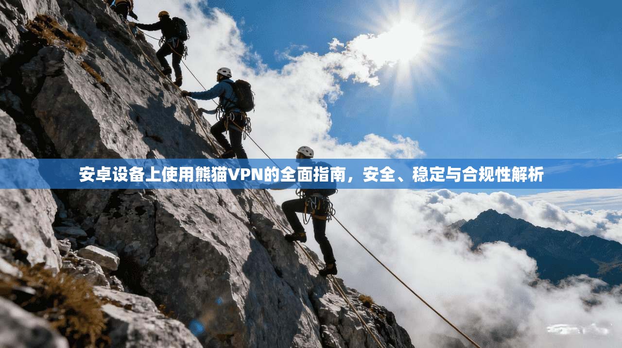 安卓设备上使用熊猫VPN的全面指南，安全、稳定与合规性解析