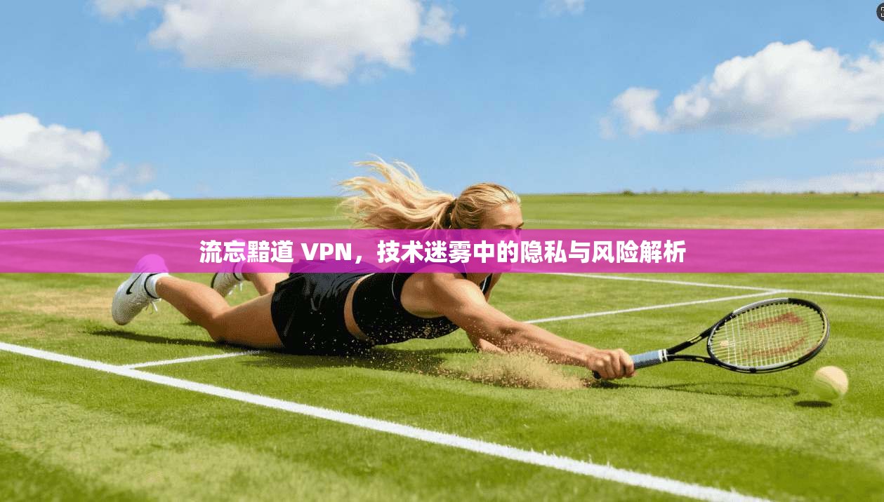 流忘黯道 VPN，技术迷雾中的隐私与风险解析