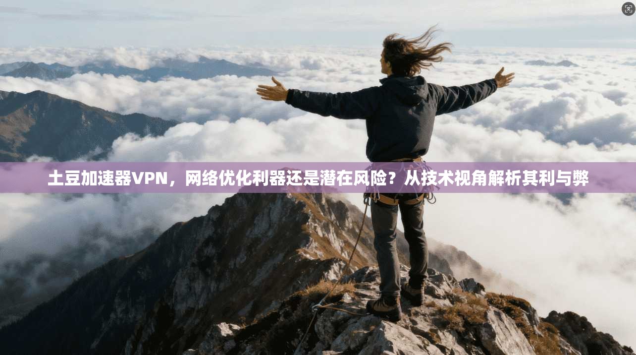 土豆加速器VPN，网络优化利器还是潜在风险？从技术视角解析其利与弊