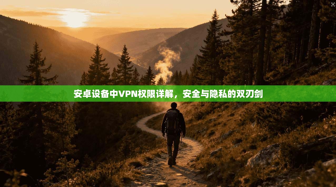安卓设备中VPN权限详解，安全与隐私的双刃剑