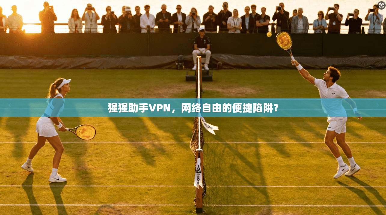 猩猩助手VPN，网络自由的便捷陷阱？