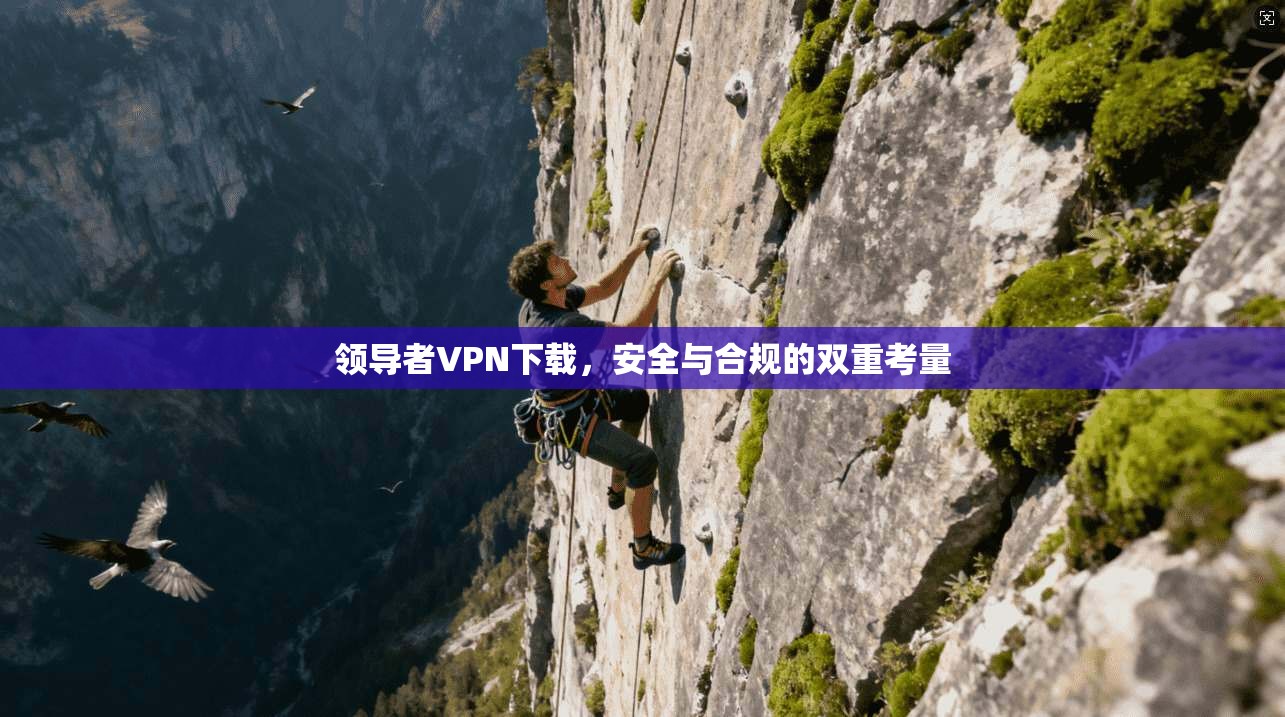 领导者VPN下载，安全与合规的双重考量
