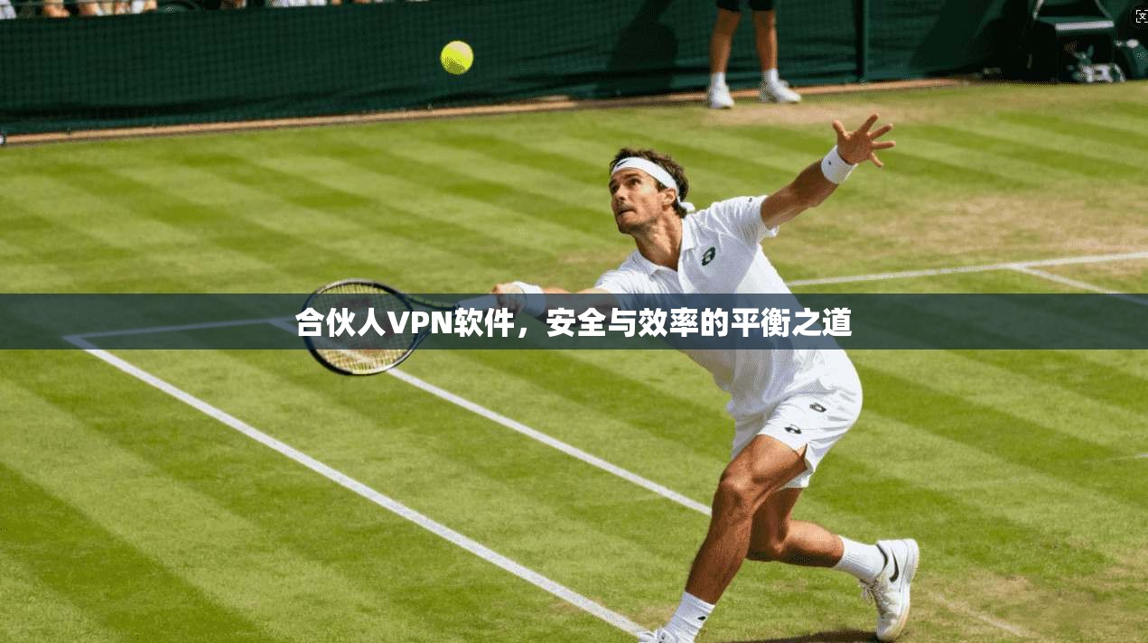 合伙人VPN软件，安全与效率的平衡之道
